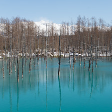 Blue Pond (???), Biei, 2019