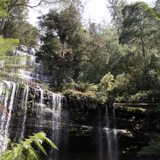 Mount Field NP, 2018