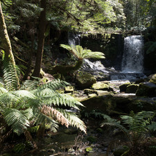 Mount Field NP, 2018