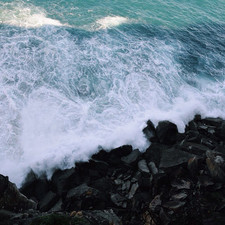 Curra Moors, Royal National Park, 2015