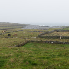 Inis Mór, 2014