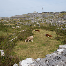 Inis Mór, 2014
