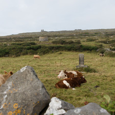 Inis Mór, 2014