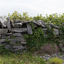 Inis Mór, 2014