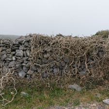 Inis Mór, 2014