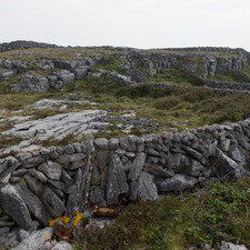 Inis Mór, 2014