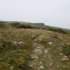 Dún Eoghanachta, 2014