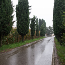 Carlo Scarpa, Brion Cemetery, San Vito d'Altivole (near Treviso), 2014