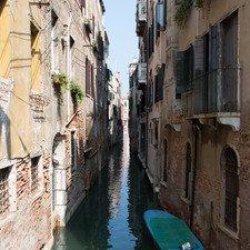 Venice, 2014