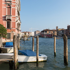Venice, 2014