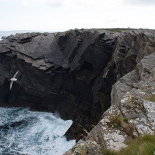 South coast of South Ronaldsay, Orkney, 2014