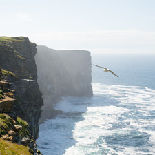 Kitchener & HMS Hampshire Memorial, Orkney, 2014