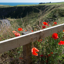 Dunnottar Castle, 2014