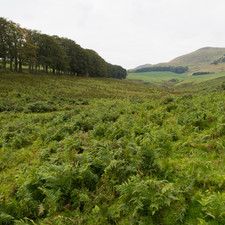 Pentland Hills, 2014