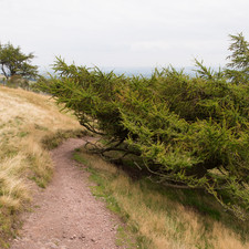 Pentland Hills, 2014
