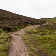 Pentland Hills, 2014