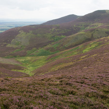 Pentland Hills, 2014