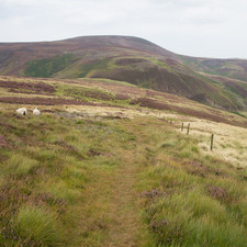 Pentland Hills, 2014