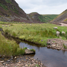 Pentland Hills, 2014