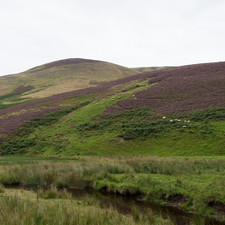 Pentland Hills, 2014