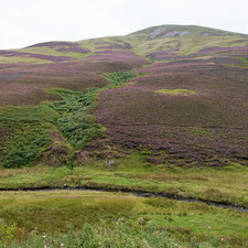 Pentland Hills, 2014