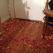 Happy Birthday, 2015