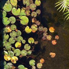 Elizabeth Bay House, 2016