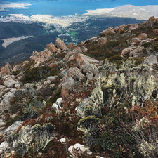 Mount Wellington, 2016