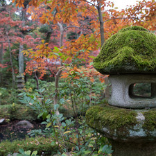 Kengo Kuma and Associates, Nezu Museum, Tokyo, 2017