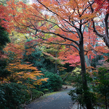 Kengo Kuma and Associates, Nezu Museum, Tokyo, 2017