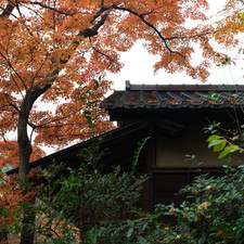 Kengo Kuma and Associates, Nezu Museum, Tokyo, 2017