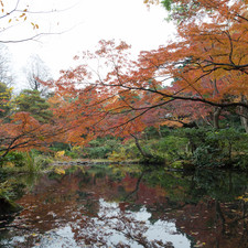 Kengo Kuma and Associates, Nezu Museum, Tokyo, 2017
