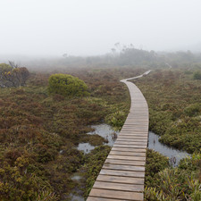 Hartz Mountains, Tasmania, 2018
