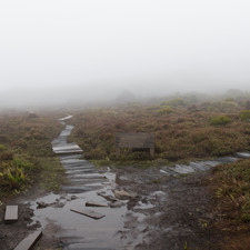 Hartz Mountains, Tasmania, 2018