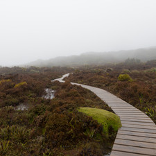 Hartz Mountains, Tasmania, 2018