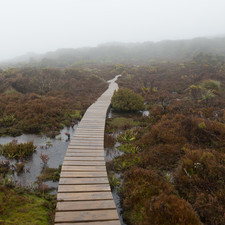 Hartz Mountains, Tasmania, 2018