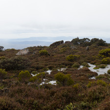 Hartz Mountains, Tasmania, 2018