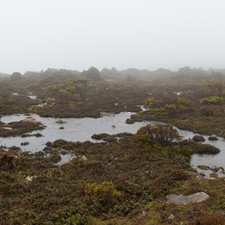 Hartz Mountains, Tasmania, 2018