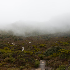 Hartz Mountains, Tasmania, 2018