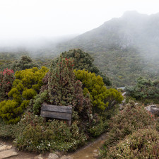 Hartz Mountains, Tasmania, 2018