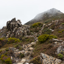 Hartz Mountains, Tasmania, 2018