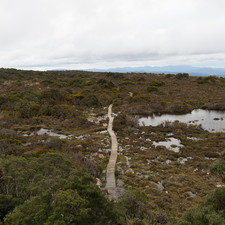 Hartz Mountains, Tasmania, 2018