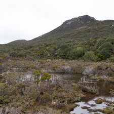 Hartz Mountains, Tasmania, 2018