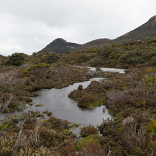 Hartz Mountains, Tasmania, 2018