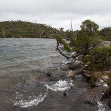 Hartz Mountains, Tasmania, 2018