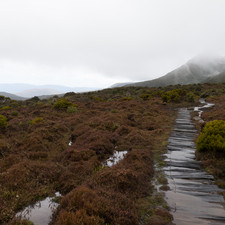 Hartz Mountains, Tasmania, 2018
