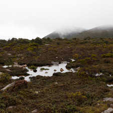 Hartz Mountains, Tasmania, 2018