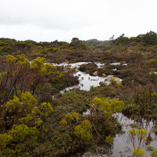 Hartz Mountains, Tasmania, 2018