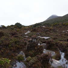 Hartz Mountains, Tasmania, 2018