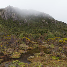 Hartz Mountains, Tasmania, 2018